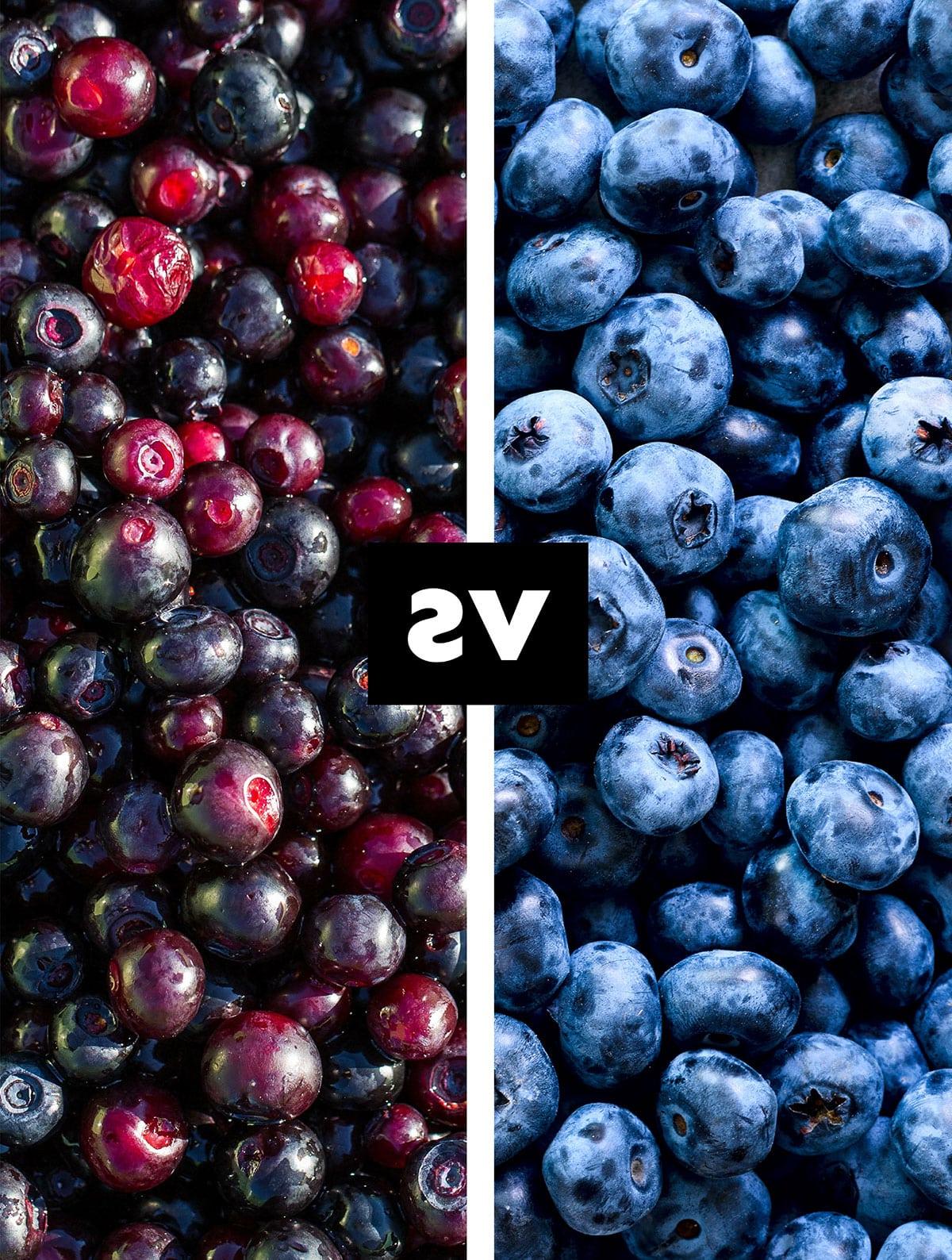 Collage von Heidelbeeren und Huckleberries.