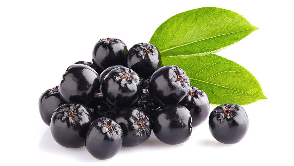Aroniabeeren