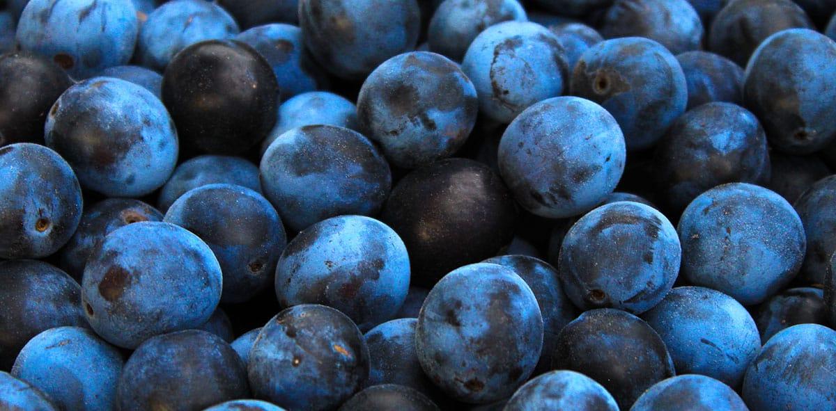 Damson-Pflaumen