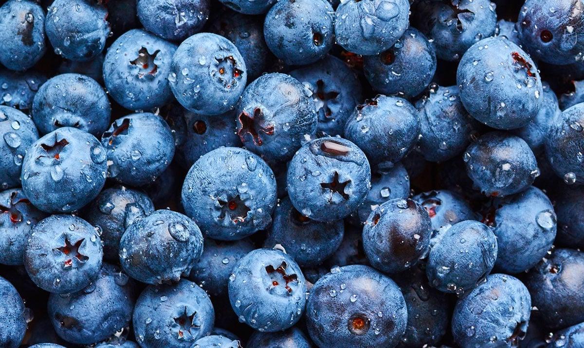 Heidelbeeren