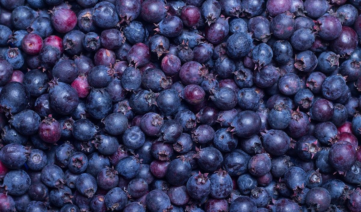Saskatoon-Beeren