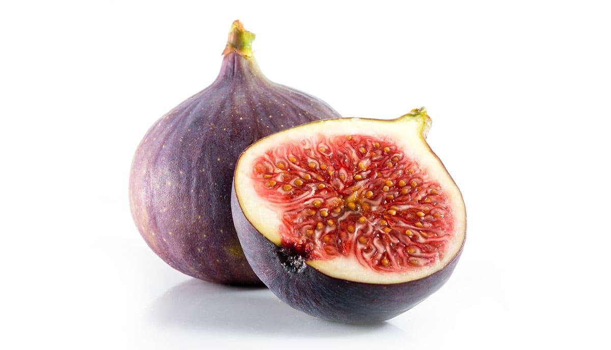 Texas Blue Giant Feigen