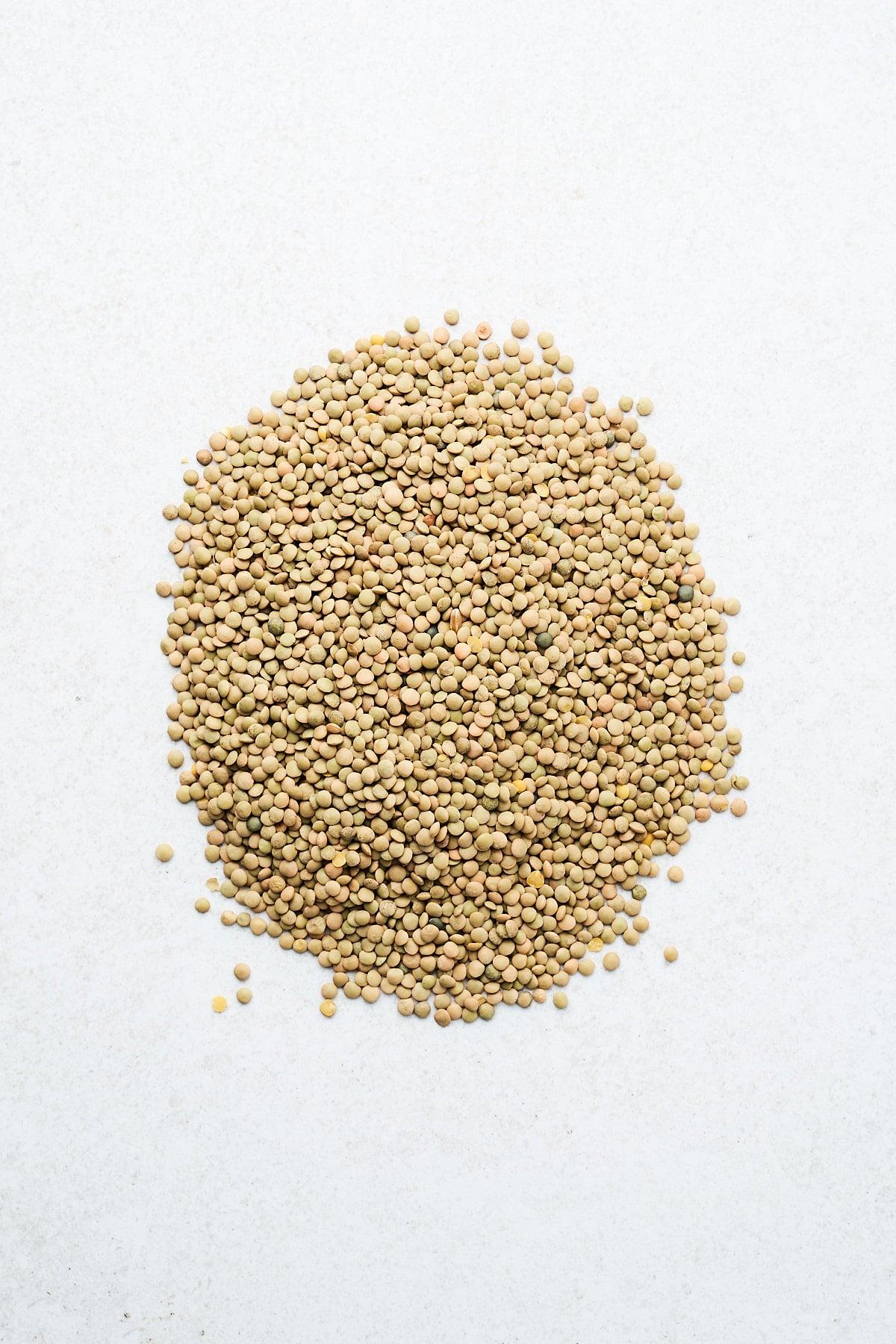 Frische grüne Linsen – ideal für herzhafte Salate.