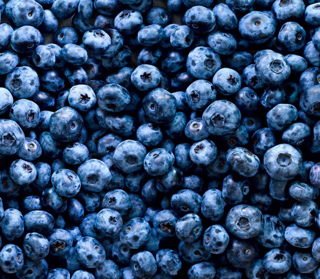 Heidelbeeren.