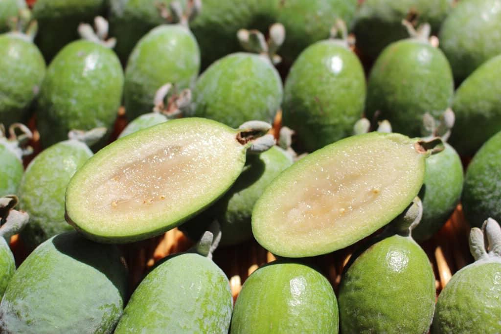 17 Früchte, die mit F anfangen (Mit Fotos!) 6 Bild von Ananas-Guave und Guavasteen