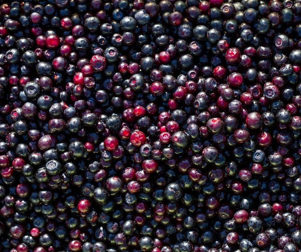 Huckleberries.