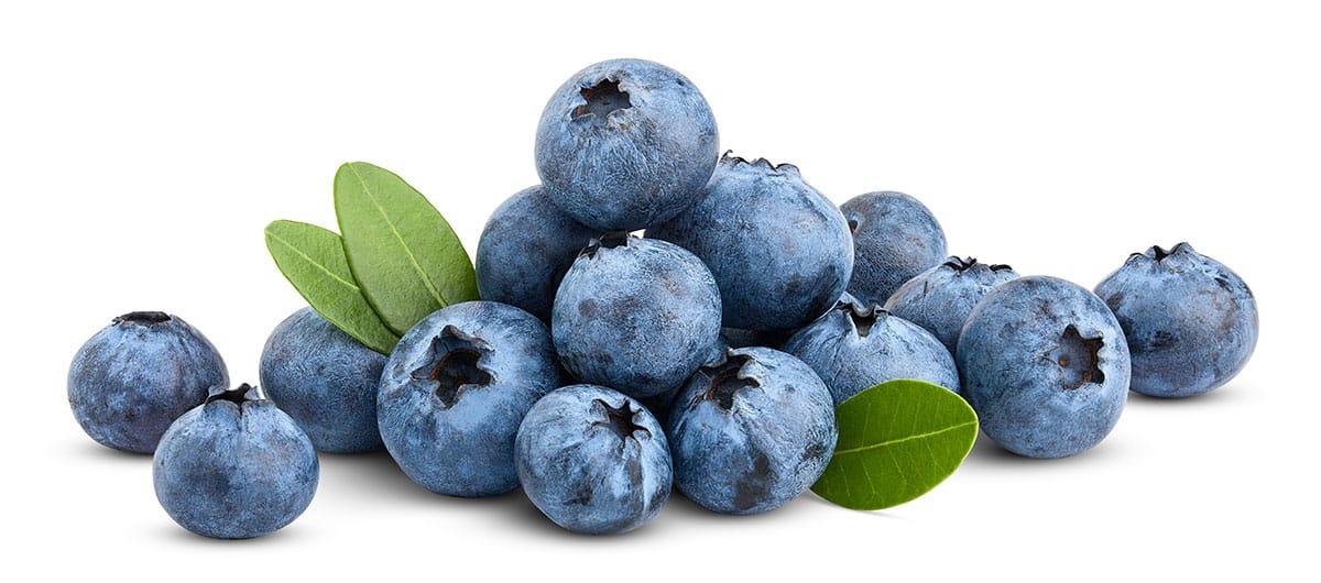 Blaubeeren
