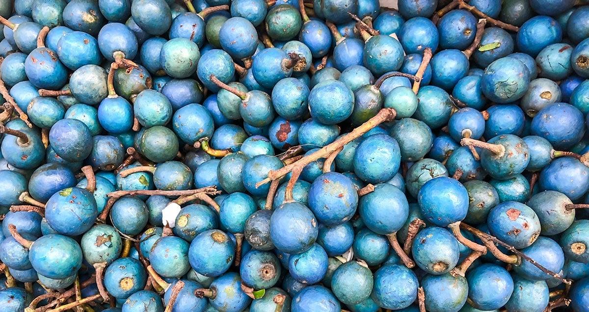 Blaue Oliven