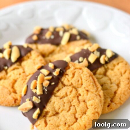 Gourmet Chocolate Dipped Flourless Peanut Butter Cookies