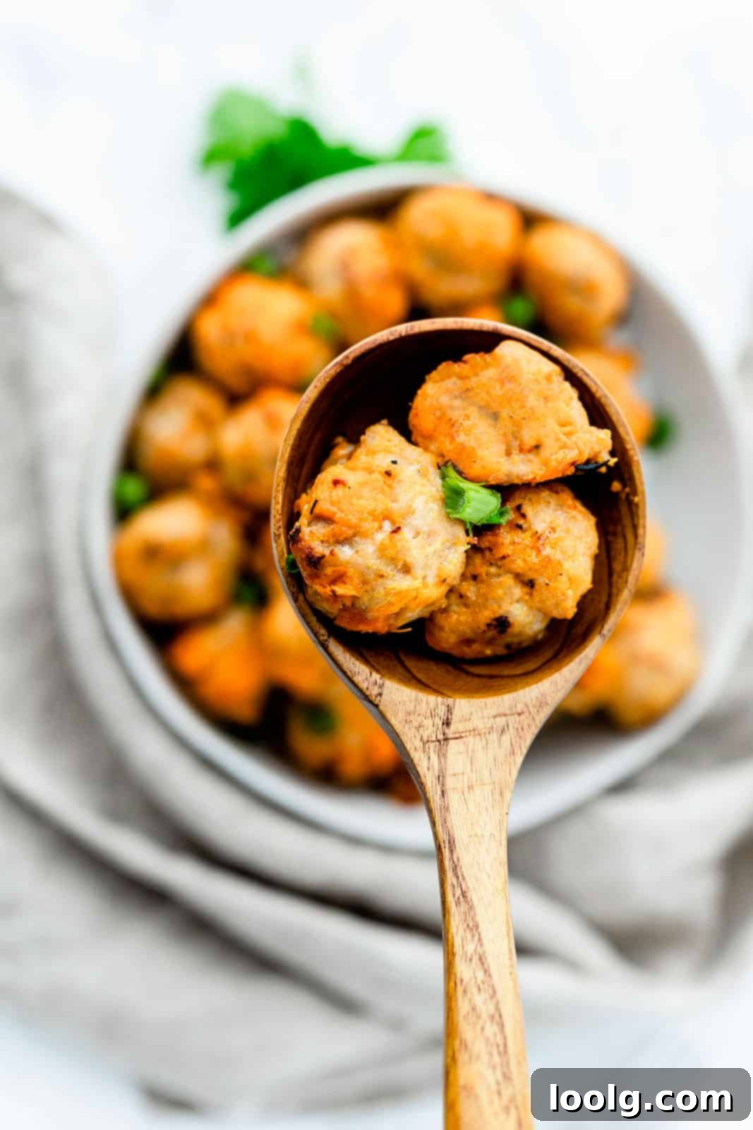 Paleo Chicken Meatballs - so delicious and addictive! 