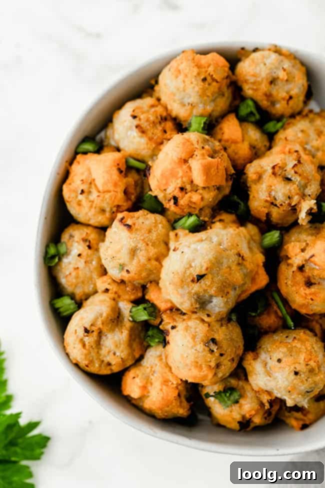 Paleo Chicken Meatballs - so delicious and addictive! 