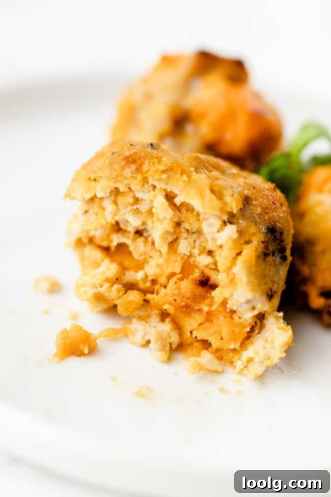 Paleo Chicken Meatballs - so delicious and addictive! 