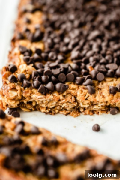 Close-up of a single nut-free granola bar with chocolate chips, highlighting its texture.