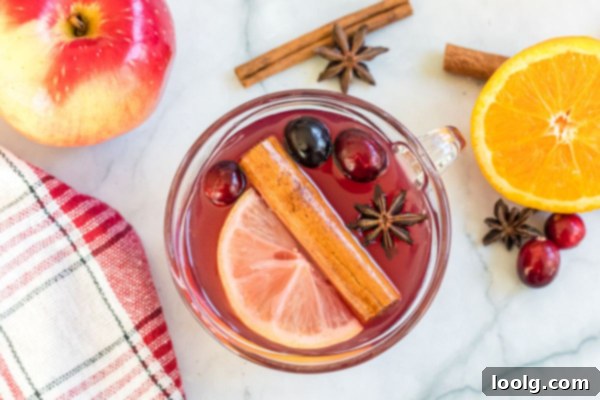 Holiday Wassail in cup