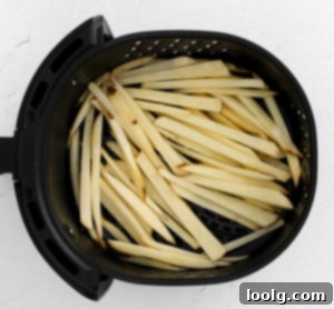Uncooked Air Fryer Garlic Fries