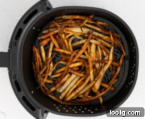 Air Fryer Garlic Fries in basket