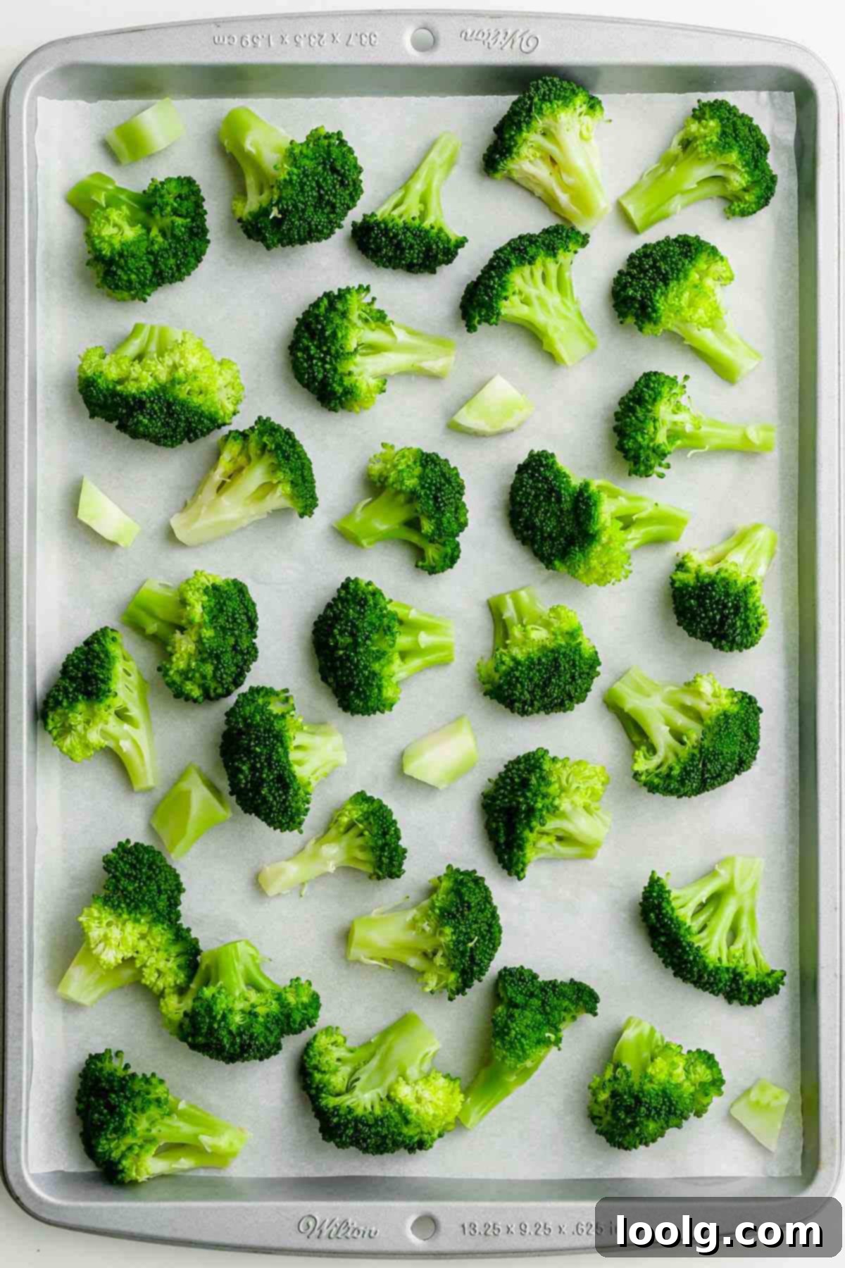 Scattered blanched broccoli florets laid out in a single layer on white parchment paper, ready for flash freezing.