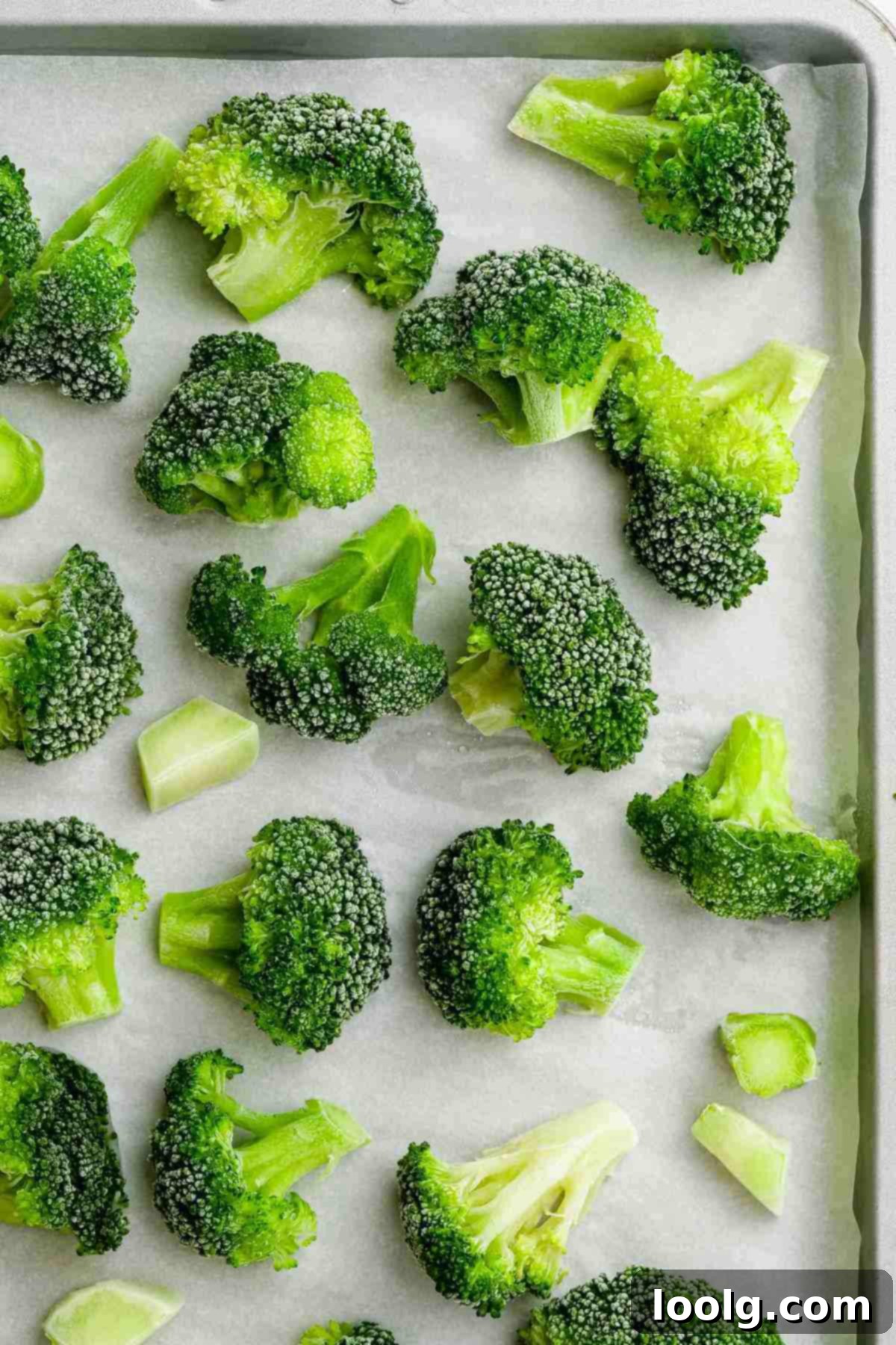 Scattered blanched and flash-frozen broccoli florets on white parchment paper, depicting individual pieces.