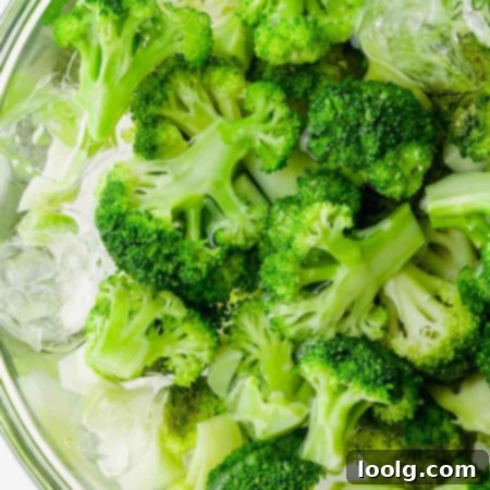A vibrant green blanched broccoli floret with a few ice cubes, symbolizing freshness and the shocking process.