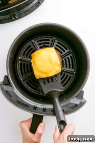 turkey burgers in air fryer basket