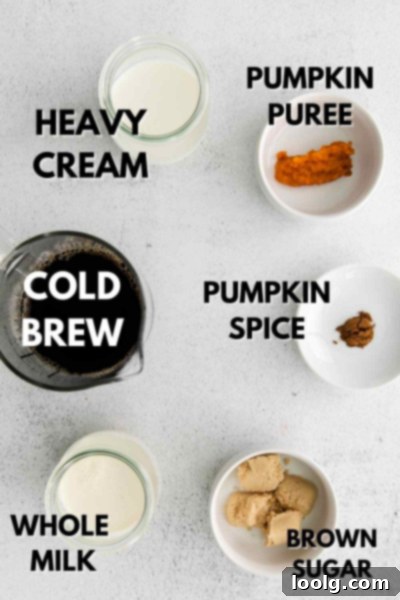 ingredients for pumpkin cold brew