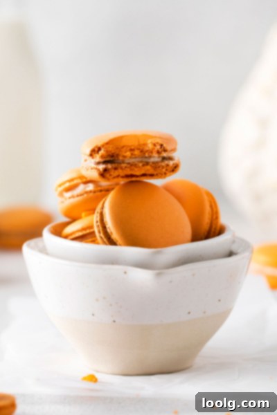 Pumpkin Spice Macarons in an airtight container, ready for storage.