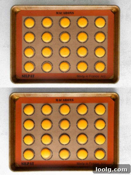 Before and after baking comparison of pumpkin spice macaron shells, showing minimal spreading.