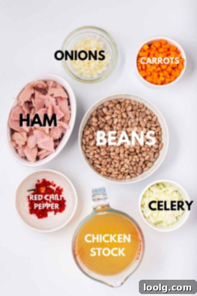 Instant Pot Bean Soup ingredients ready for cooking.