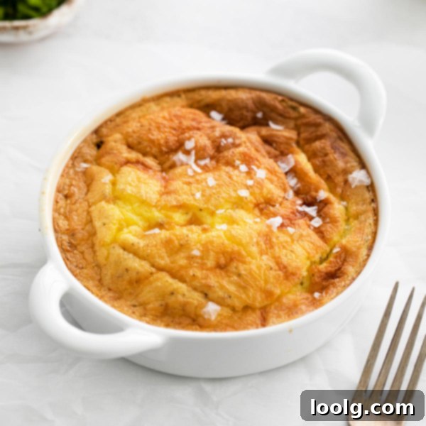Air fryer quiche, freshly baked and golden brown