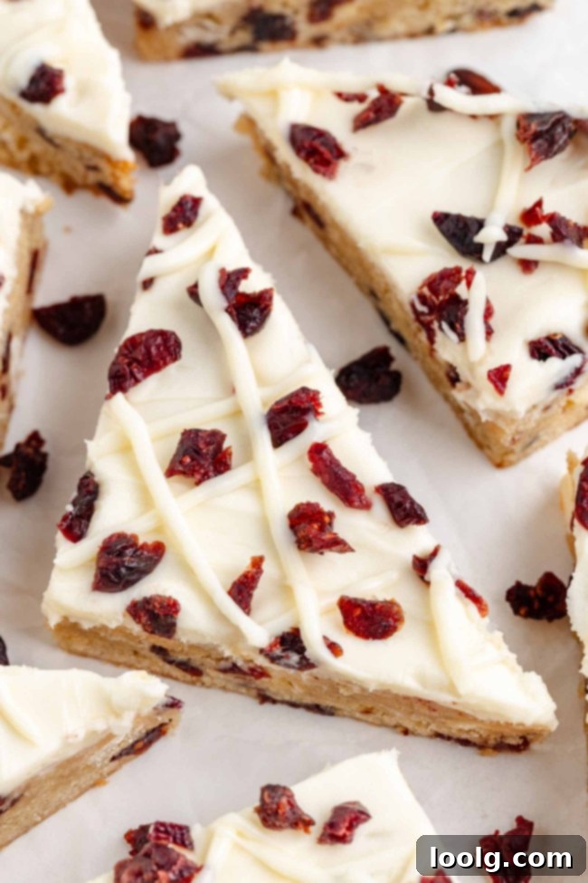 A close up shot of a whole tray of blissful cranberry bars, topped with a white chocolate cream cheese frosting and sprinkled with dried cranberries.
