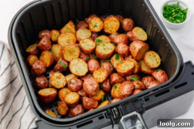 Assortment of different flavored air fryer potato variations, including cheesy and herbed options.