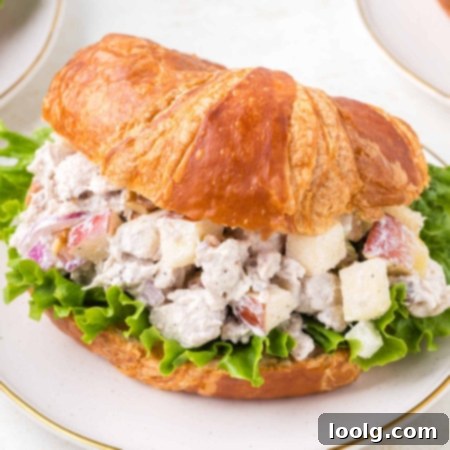 A close-up of a delectable apple walnut chicken salad sandwich nestled in a golden, flaky croissant, garnished with fresh herbs