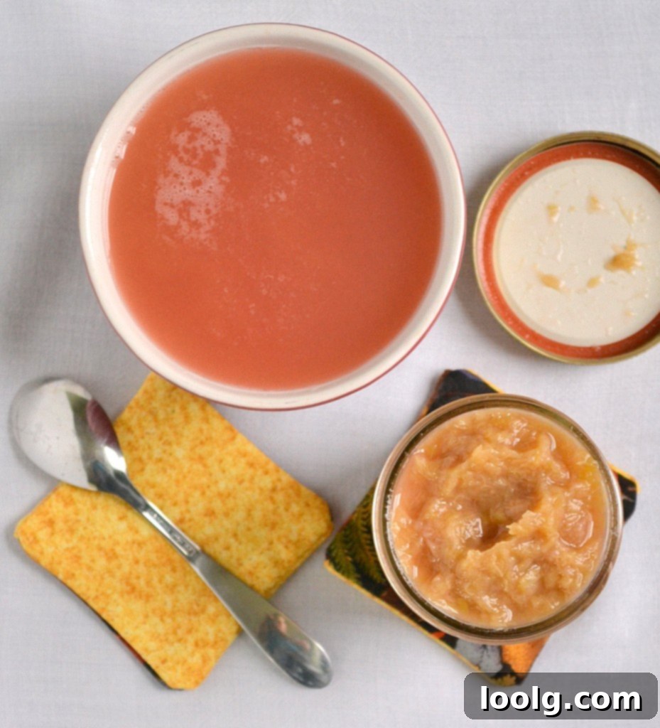 Honey Rhubarb Compote on a spoon Close-up of vibrant Honey Rhubarb Compote
