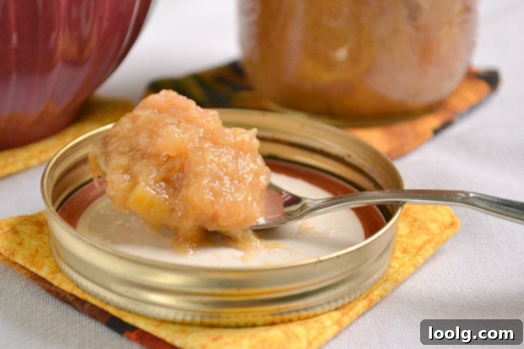 Fresh rhubarb and honey Rhubarb stalks and honey ingredients for compote