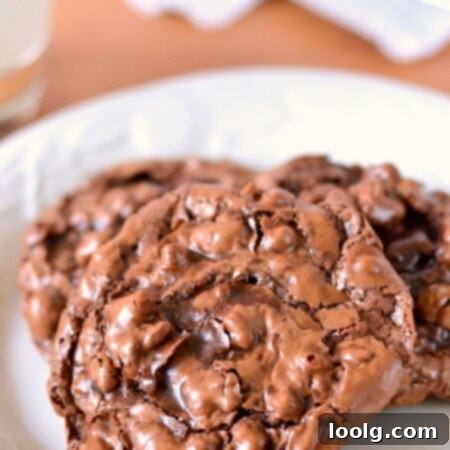 Chocolate Puddle Cookies