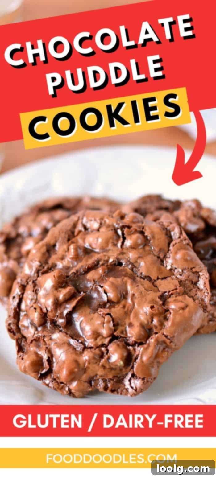 A large, rustic chocolate puddle cookie with rich chocolate flavor and a crunchy nut texture