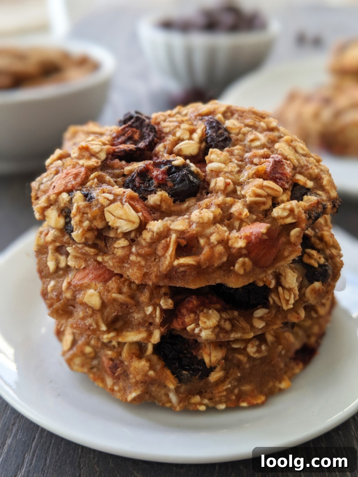 Healthy Breakfast Cookies (gluten-free and vegan)