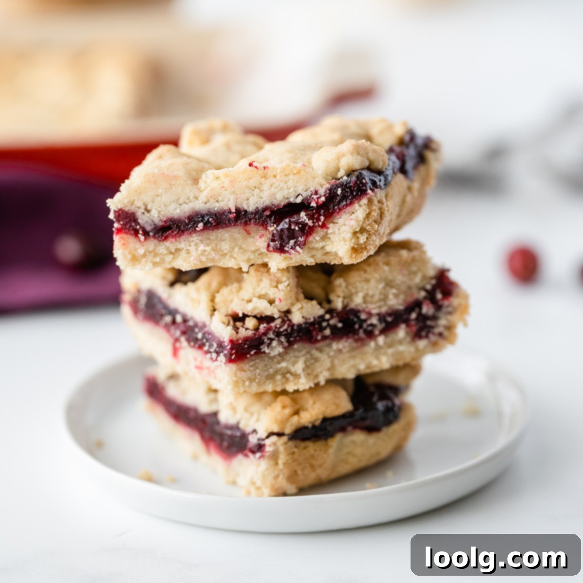Ruby Red Cranberry Shortbread Gems 1 featured 11364