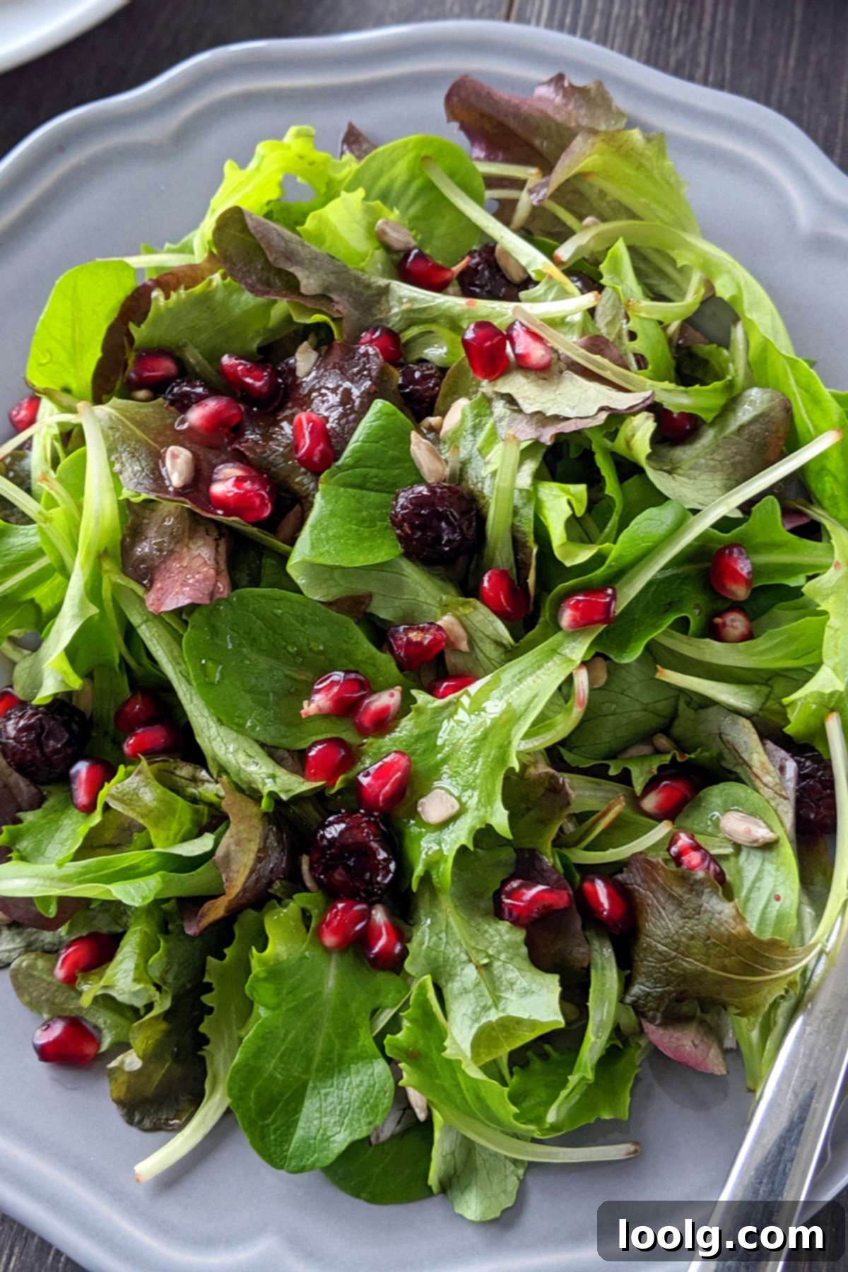 Cranberry Sunshine Salad 59 featured 1189