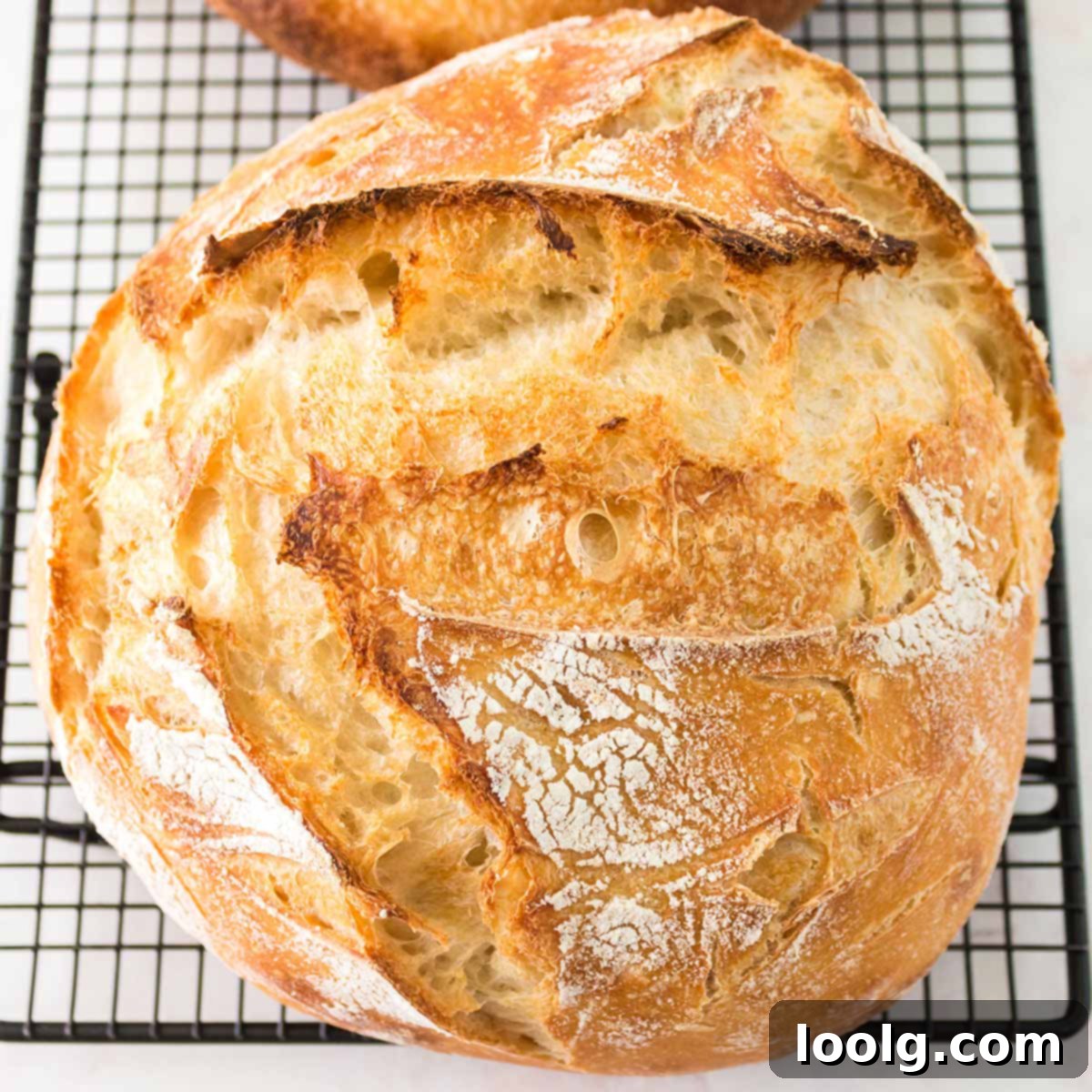 Slow Rise Sourdough Perfection 53 featured 125212