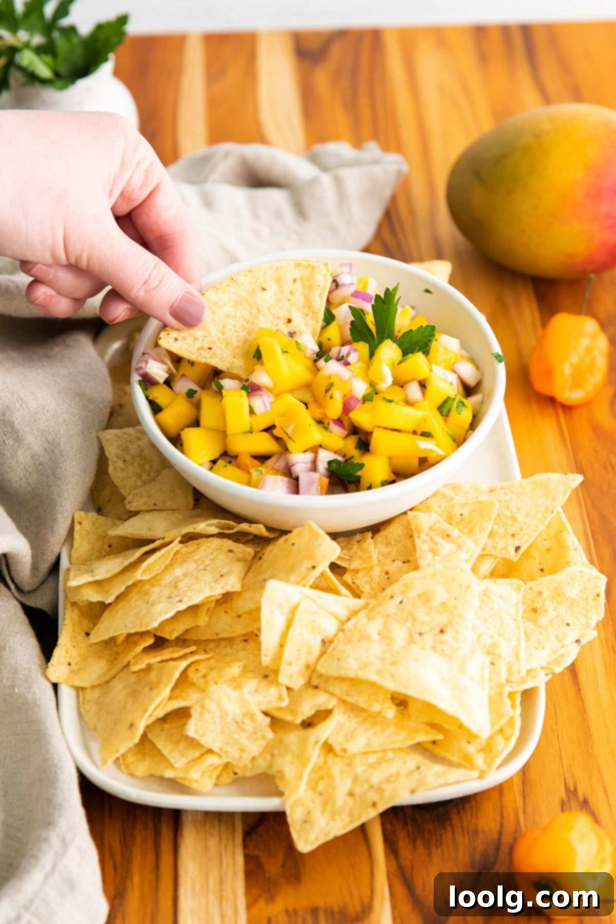 Tropical Heat Salsa 37 featured 125454