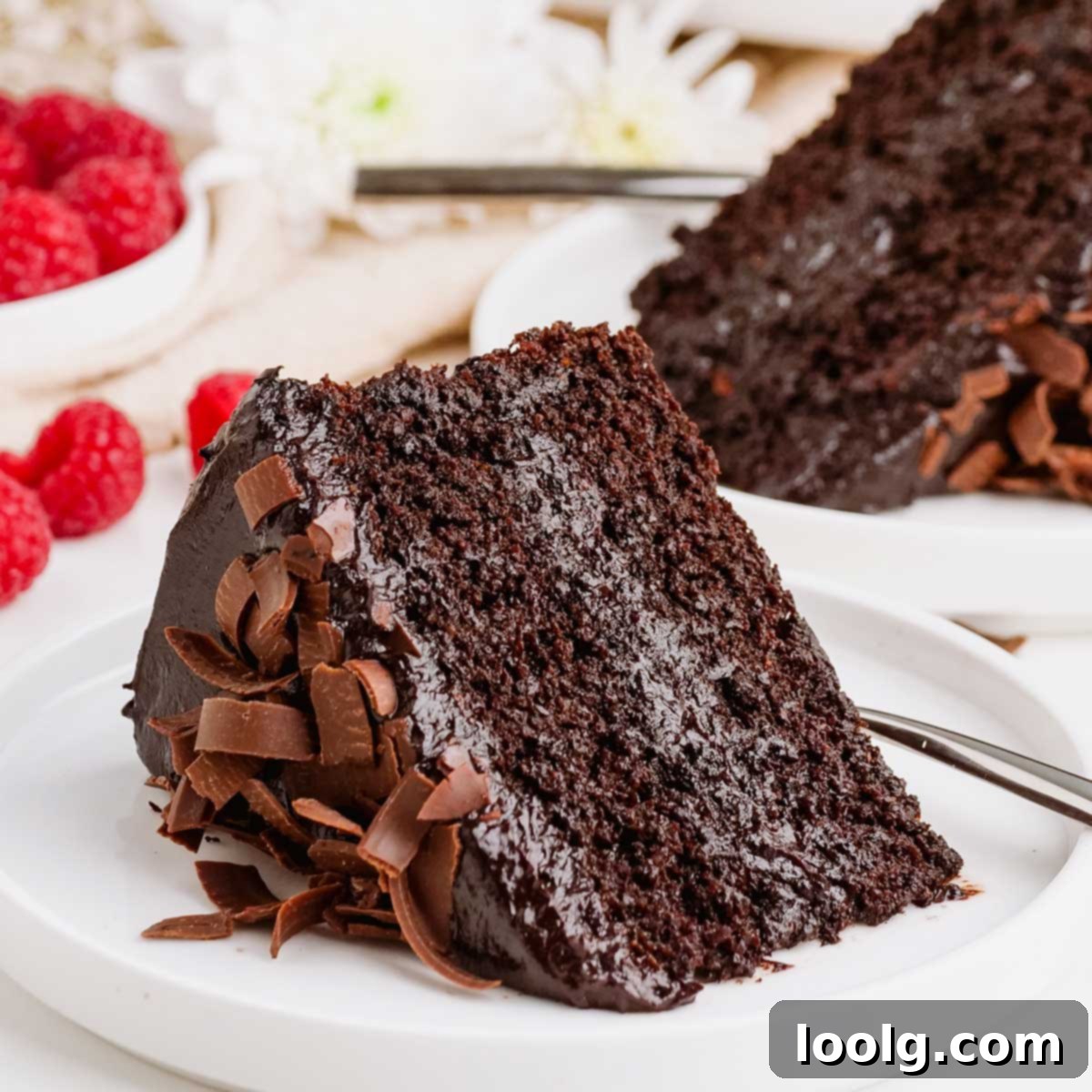 Wholesome Chocolate Indulgence 1 featured 12554
