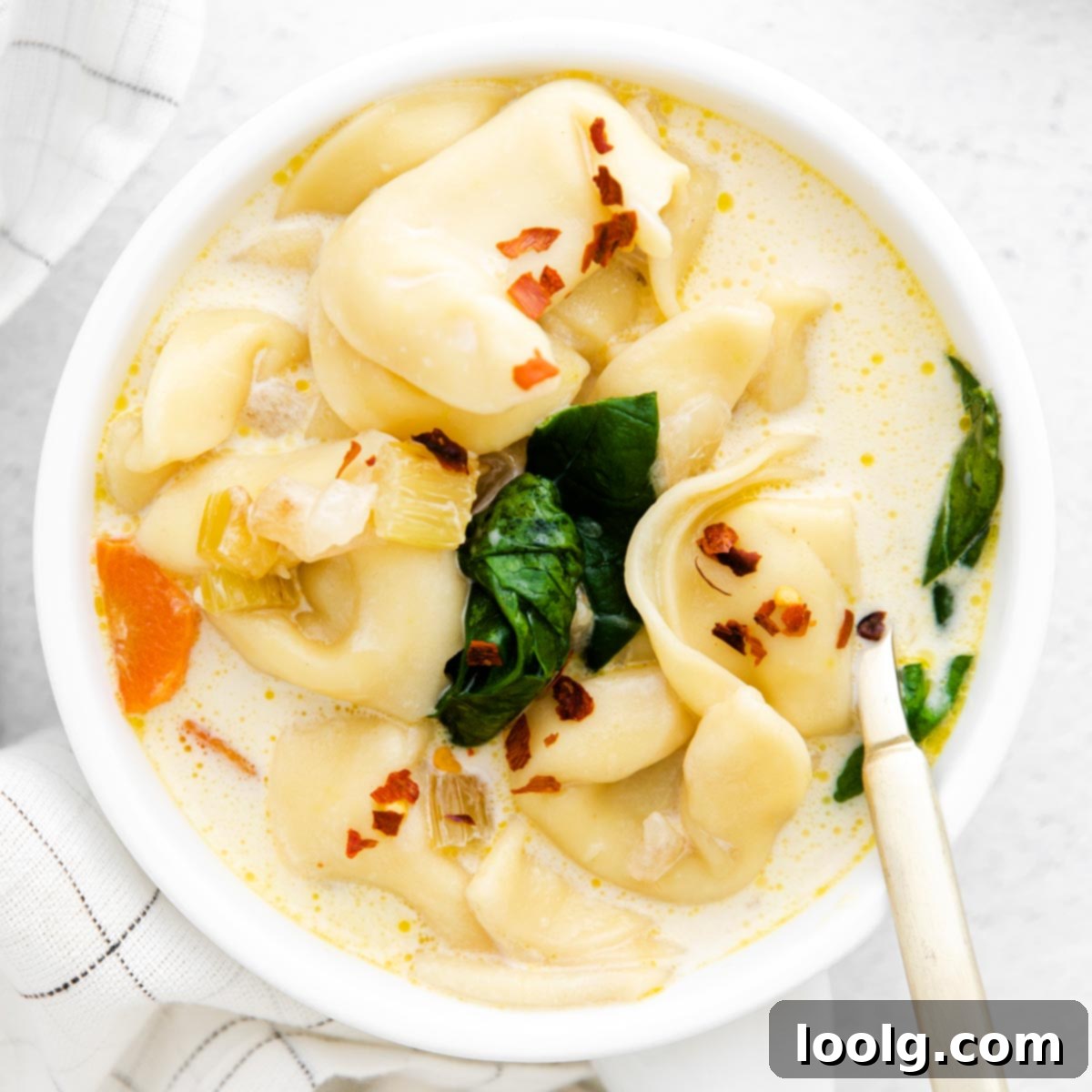 Speedy & Satisfying Tortellini Soup 9 featured 126236