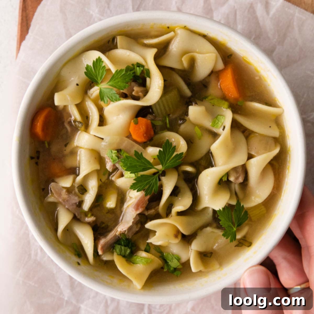 Cozy Instant Pot Turkey Noodle Soup 26 featured 126334