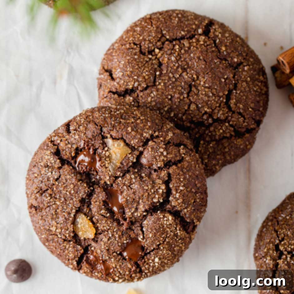 Decadent Chocolate Gingerbread Cookies 1 featured 126399