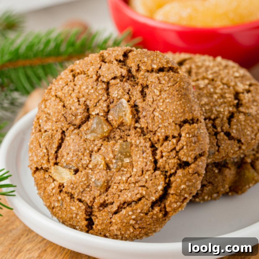 The Barefoot Contessa's Warming Ginger Delights 9 featured 126404