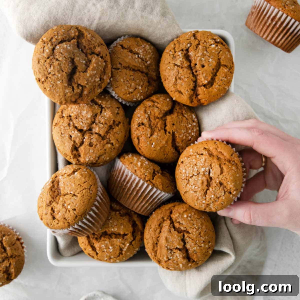 Spiced Gingerbread Muffins 1 featured 126491