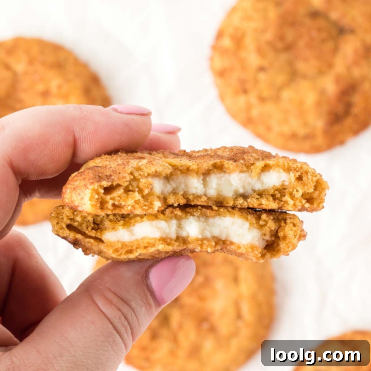 Pumpkin Cheesecake Delights 54 featured 127609