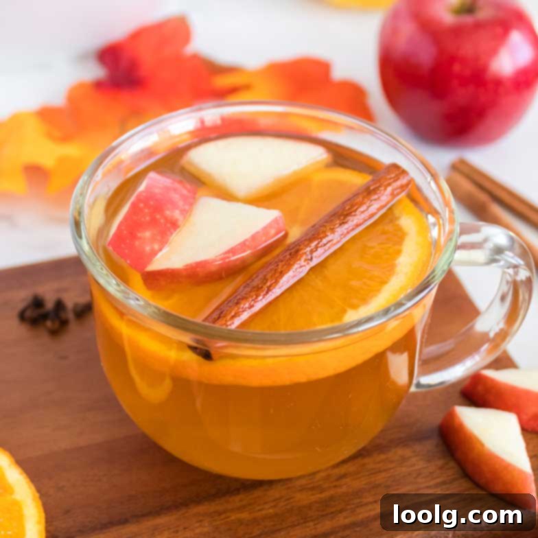 Cozy Spiced Apple Nectar 31 featured 2846