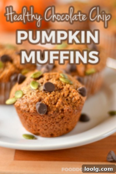 Wholesome Pumpkin Chocolate Chip Muffins 1 Delicious and healthy whole wheat chocolate chip pumpkin muffins